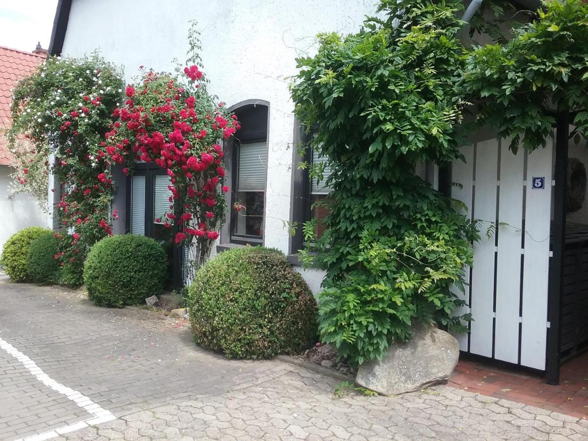 Altstadt-Apartment Petershagen Exterior foto
